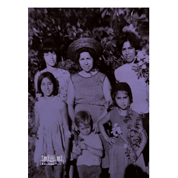 Abriendo Caminos: Una Historia Cultural De La Mujer Del Campo Chileno En El Sigo Xx