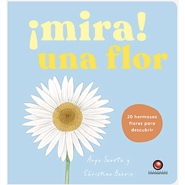 Mira Una Flor