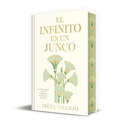 El Infinito En Un Junco Td