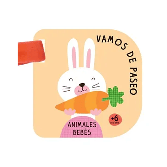 Vamos De Paseo - Animales