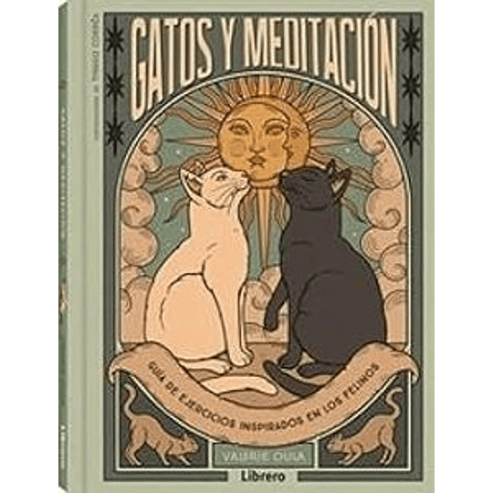Gatos Y Meditacion