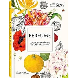 Perfume