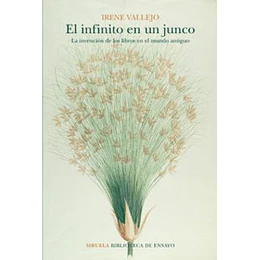 El Infinito En Un Junco