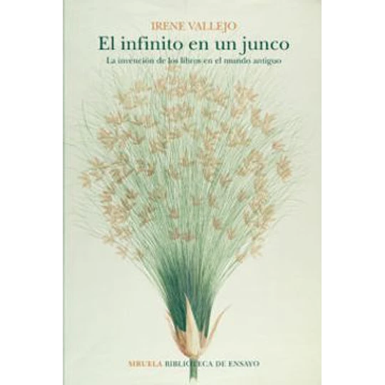 El Infinito En Un Junco