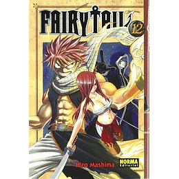 Fairytail 12