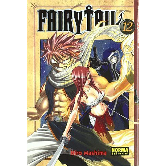 Fairytail 12