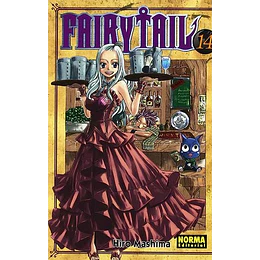 Fairytail 14