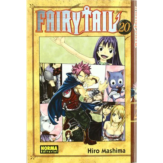 Fairytail 20