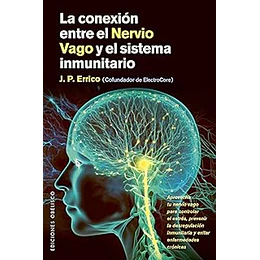 La Conexion Entre El Nervio Vago Y El Sistema Inmunitario