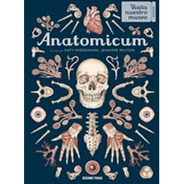Anatomicum