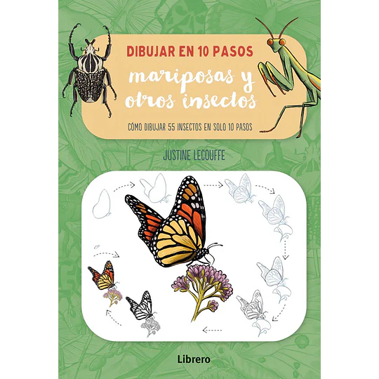 Dibujar En 10 Pasos Mariposas Y Otros Insectos