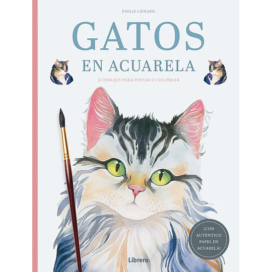 Gatos En Acuarela