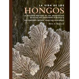 La Vida De Los Hongos