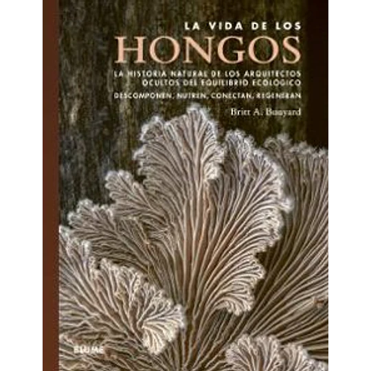 La Vida De Los Hongos