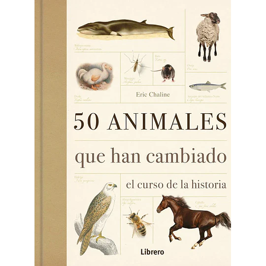 50 Animales Que Han Cambiado El Curso De La Historia 