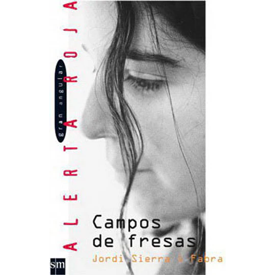 Campos De Fresas (Gran Angular)