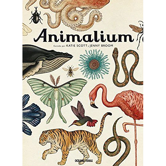 Animalium