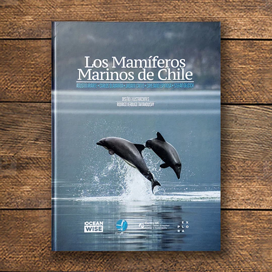 Los Mamiferos Marinos De Chile