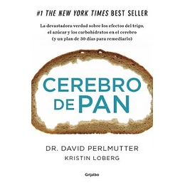 Cerebro De Pan