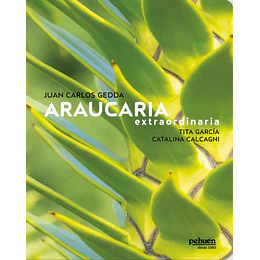 Araucaria Extraordinaria