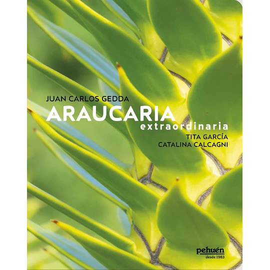 Araucaria Extraordinaria