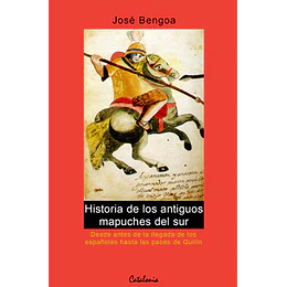 Historia De Los Antiguos Mapuches Del Sur