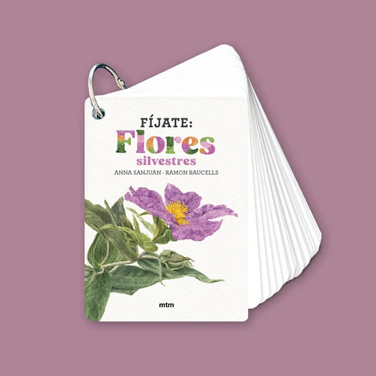 Fijate Flores