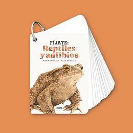 Fijate: Reptiles Y Anfibios