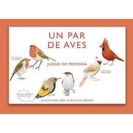 Un Par De Aves