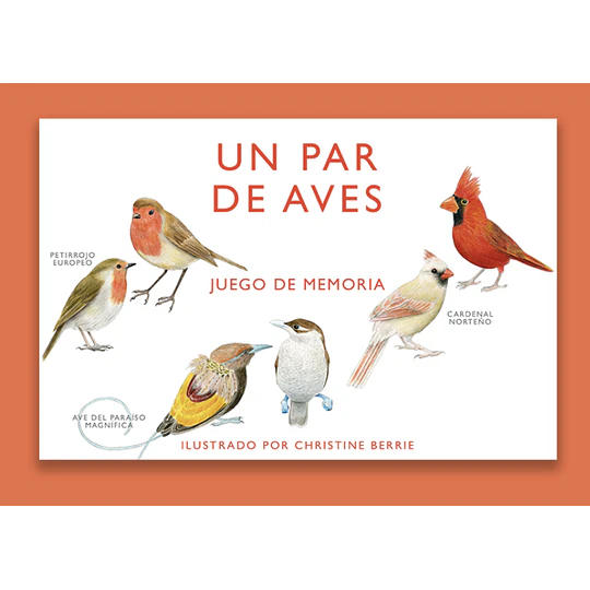 Un Par De Aves