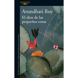 El Dios De Las Pequeñas Cosas