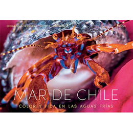 Mar De Chile