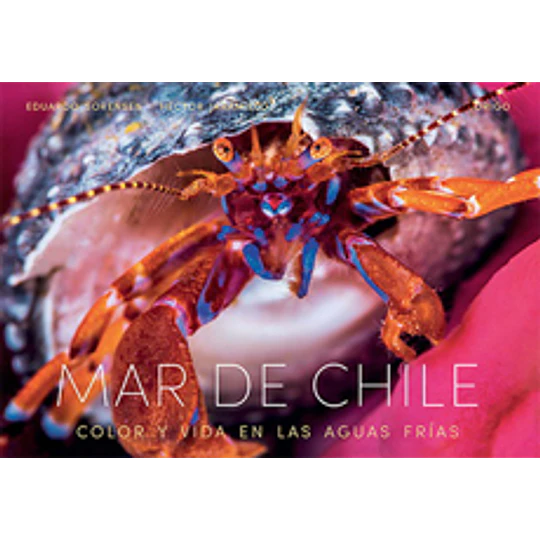 Mar De Chile