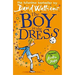 The Boy In The Dress