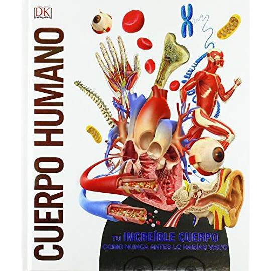 Cuerpo Humano Como Nunca Antes Lo Habías Visto