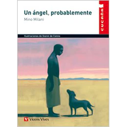 Un Angel Probablemente