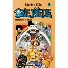 One Piece 017