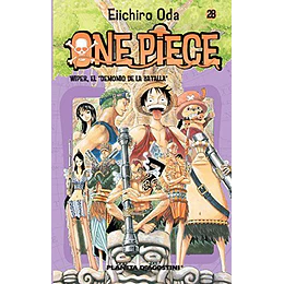 One Piece 028