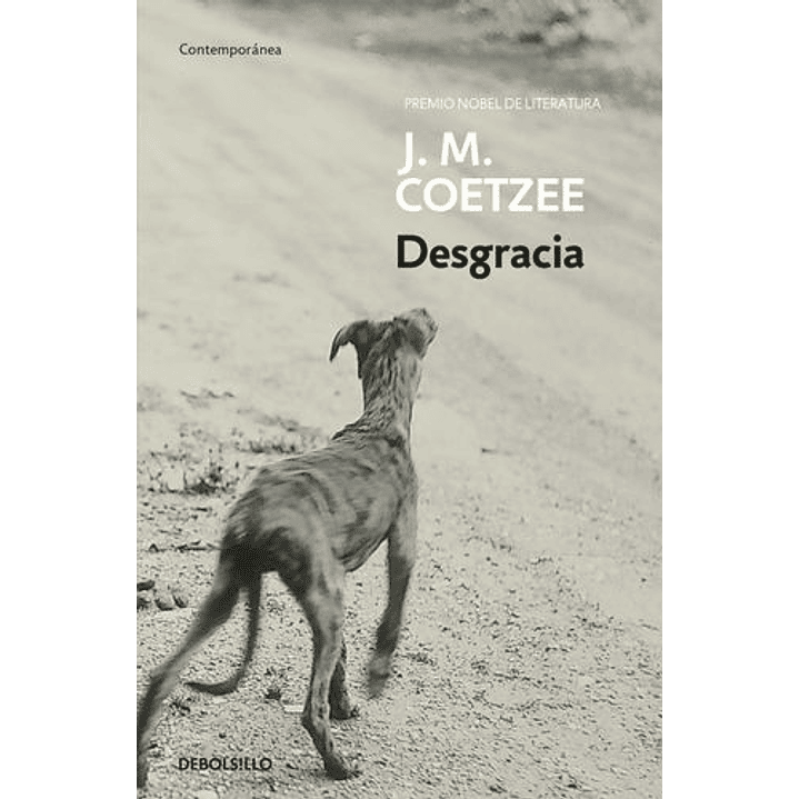 Desgracia 1