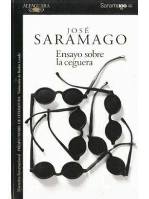 Ensayo Sobre La Ceguera