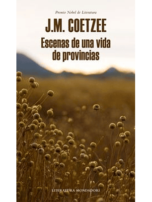 Escenas De Una Vida De Provincias