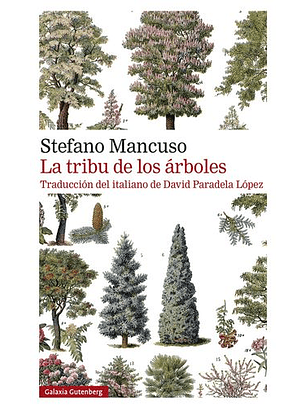 La Tribu De Los Arboles