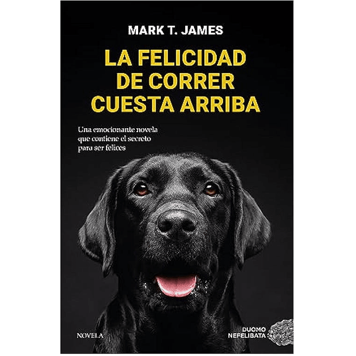 La Felicidad De Correr Cuesta Arriba 1