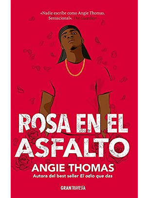 Rosa En El Asfalto
