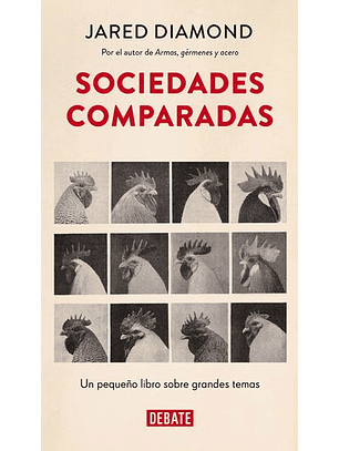 Sociedades Comparadas