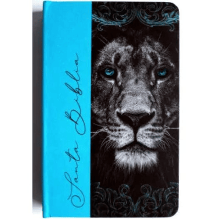 Biblia Rvr 1960 Letra Grande Tamaño Manual Tapa Dura De Tela Leon Aguamarina 1