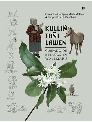 Kulliñ Tañi Lawen Cuidado De Rebaños En Wallmapu