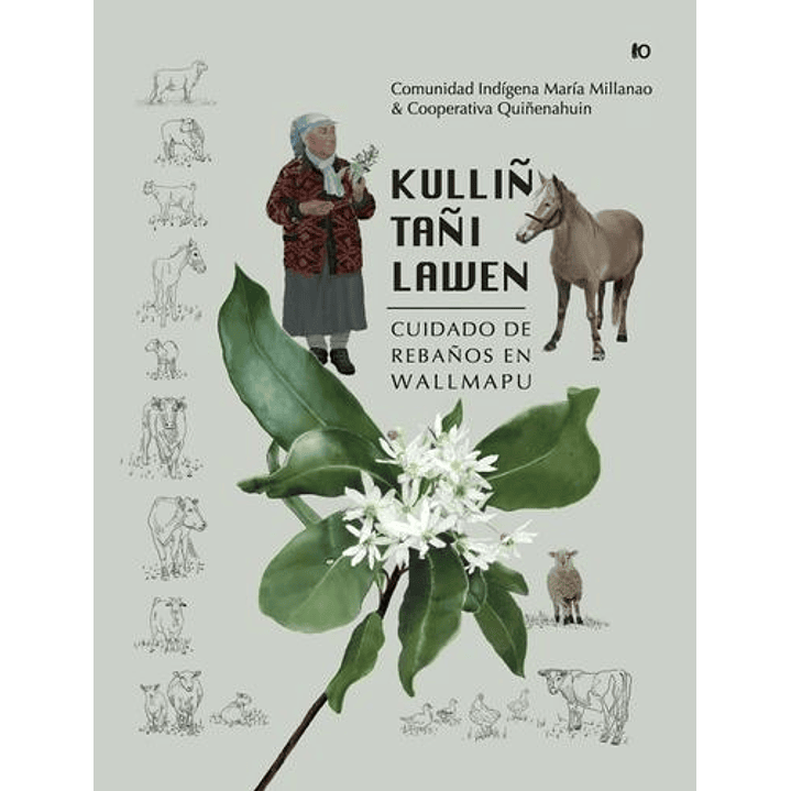 Kulliñ Tañi Lawen Cuidado De Rebaños En Wallmapu 1