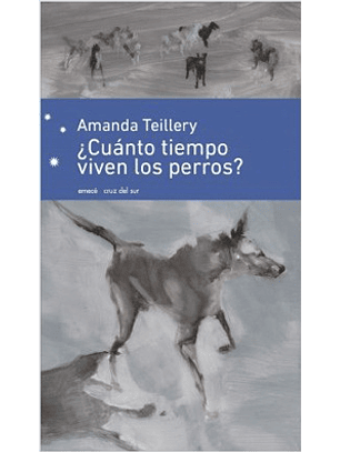 ¿Cuanto Tiempo Viven Los Perros?