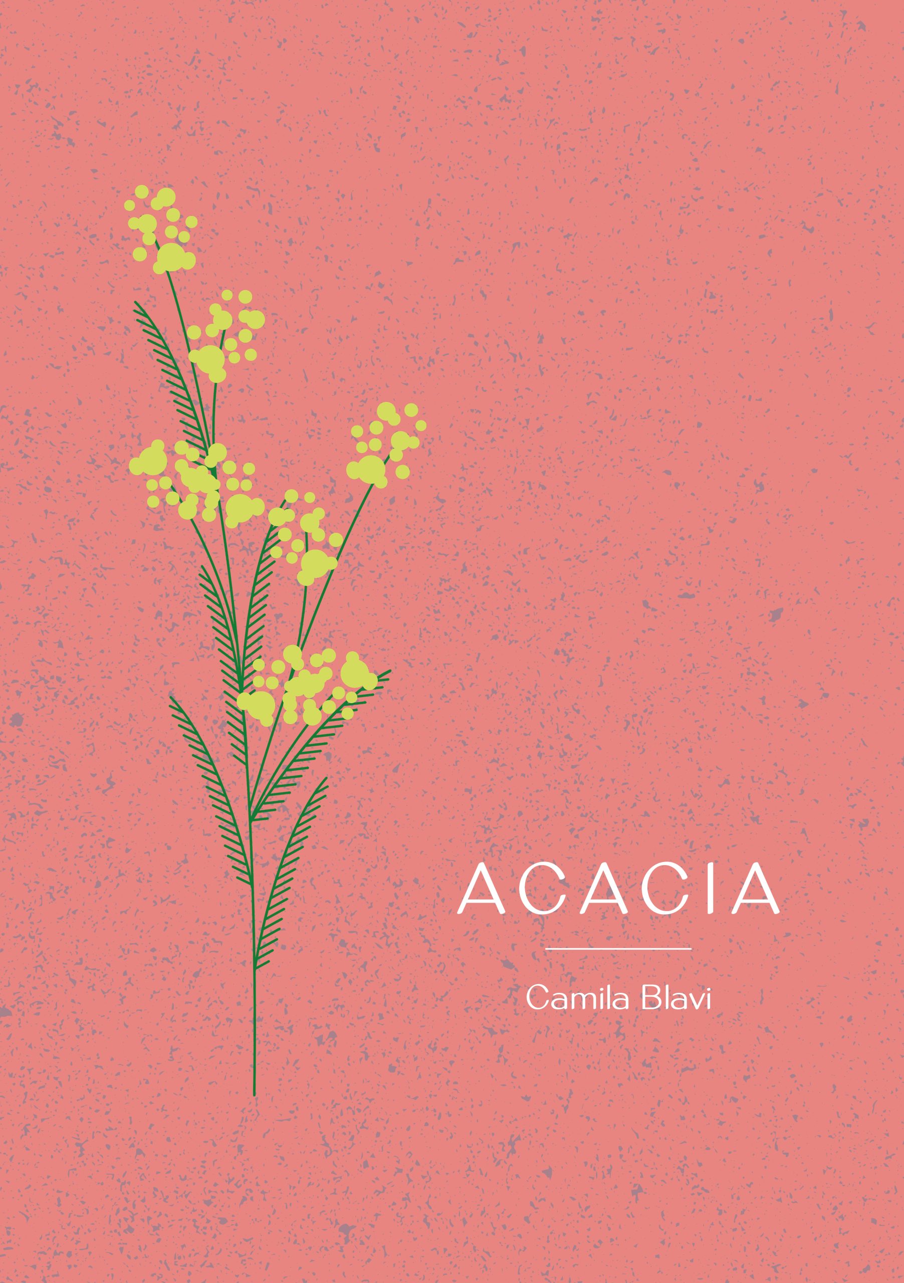 Acacia